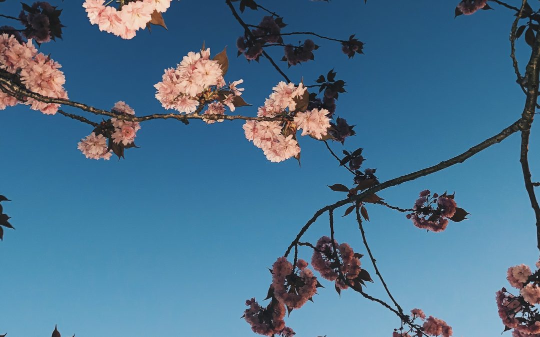De lente brengt verandering in je interieur