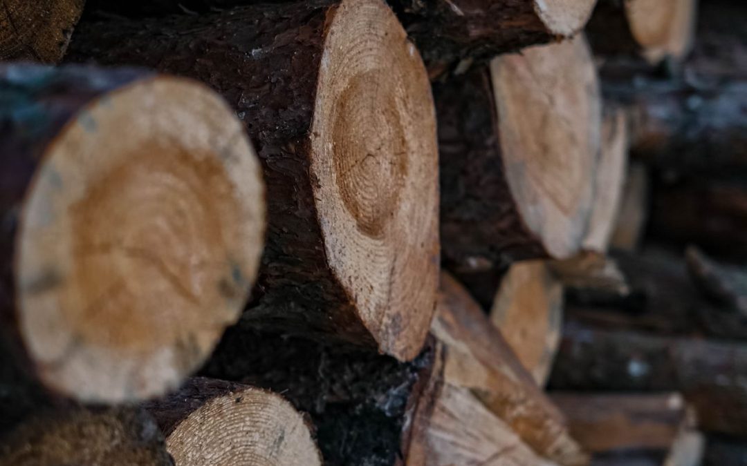 Hout kopen bij de juiste leverancier voor jouw project